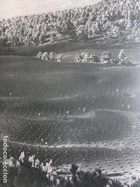 Collezionismo: VALLE DE ARIDANE LA PALMA ANTIGUA LAMINA HUECOGRABADO