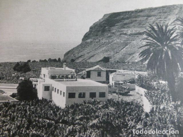 Collezionismo: TAZACORTE LA PALMA ANTIGUA LAMINA HUECOGRABADO