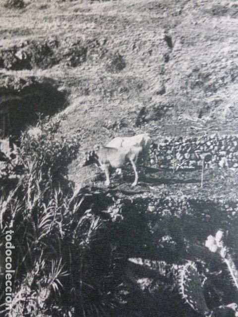 Collezionismo: ISLA DE LA PALMA ANTIGUA LAMINA HUECOGRABADO