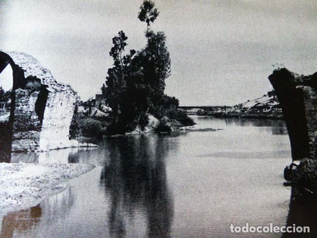 Coleccionismo: ALANGE BADAJOZ EL ARDILA ANTIGUO HUECOGRABADO