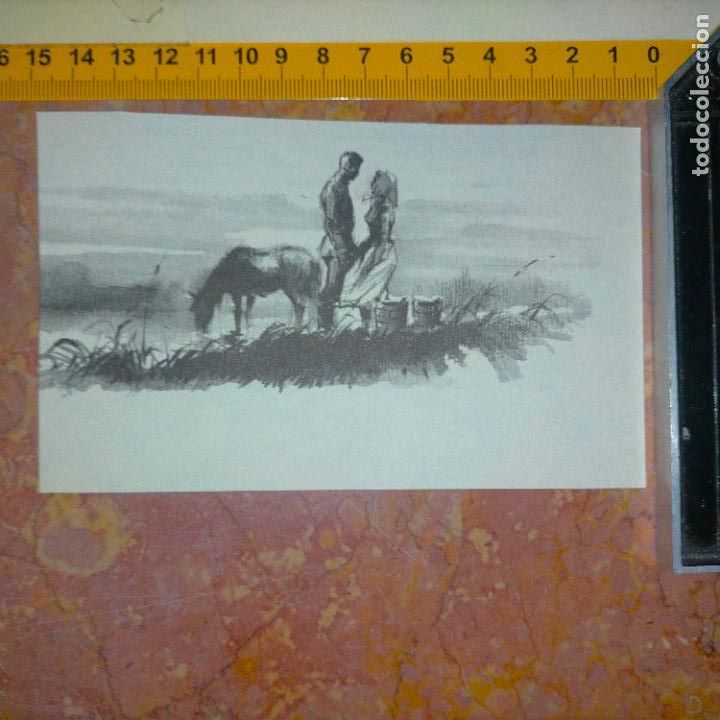 Coleccionismo: Antiguo recorte de publicaci&oacute;n de libro ilustraci&oacute;n dibujo coleccionistas de caballos equitacion