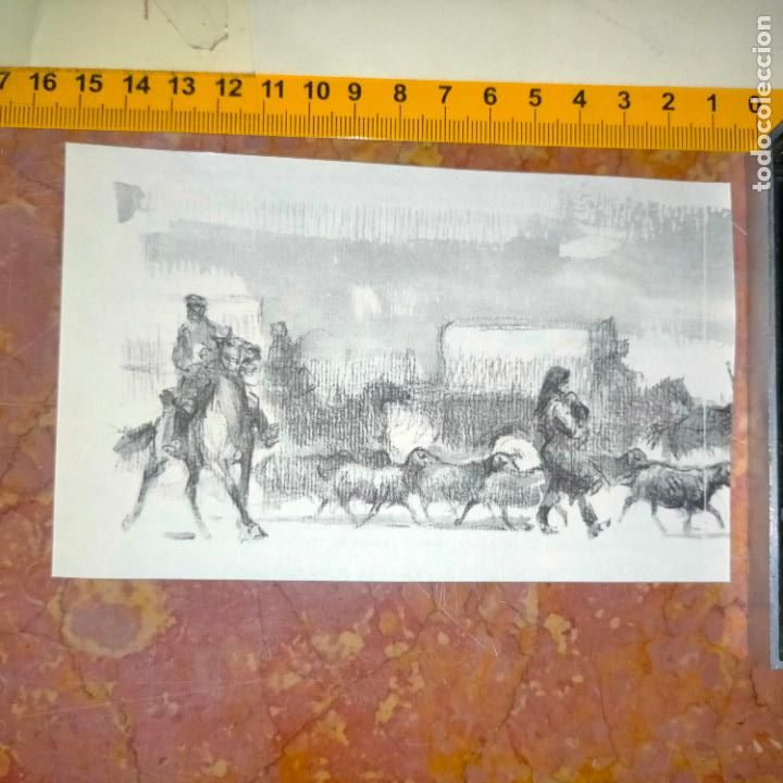 Coleccionismo: Antiguo recorte de publicaci&oacute;n de libro ilustraci&oacute;n dibujo coleccionistas de caballos equitacion