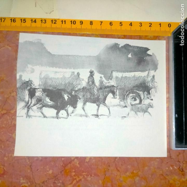 Coleccionismo: Antiguo recorte de publicaci&oacute;n de libro ilustraci&oacute;n dibujo coleccionistas de caballos equitacion