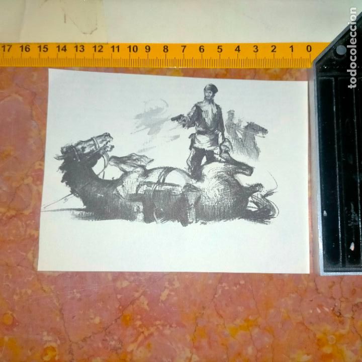 Coleccionismo: Antiguo recorte de publicaci&oacute;n de libro ilustraci&oacute;n dibujo coleccionistas de caballos equitacion