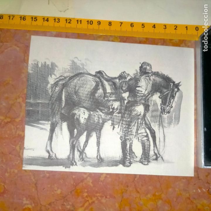Coleccionismo: Antiguo recorte de publicaci&oacute;n de libro ilustraci&oacute;n dibujo coleccionistas de caballos equitacion