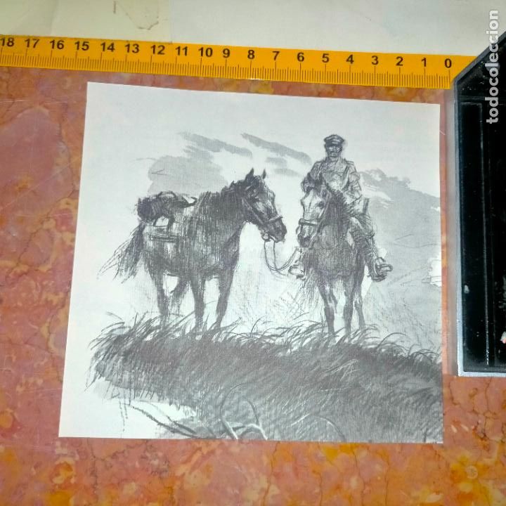 Coleccionismo: Antiguo recorte de publicaci&oacute;n de libro ilustraci&oacute;n dibujo coleccionistas de caballos equitacion