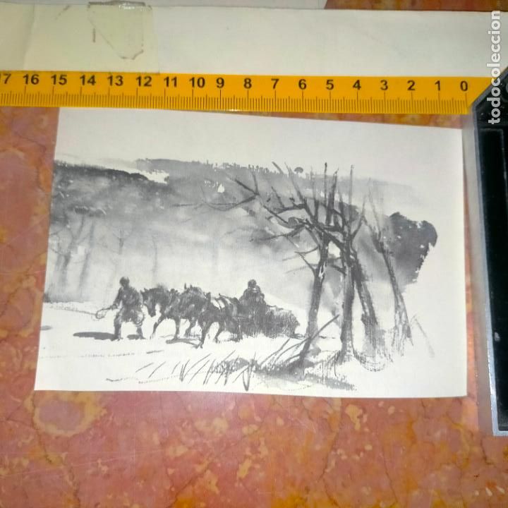 Coleccionismo: Antiguo recorte de publicaci&oacute;n de libro ilustraci&oacute;n dibujo coleccionistas de caballos equitacion