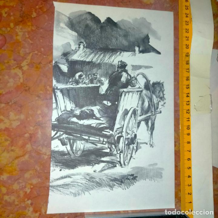 Coleccionismo: Antiguo recorte de publicaci&oacute;n de libro ilustraci&oacute;n dibujo coleccionistas de caballos equitacion