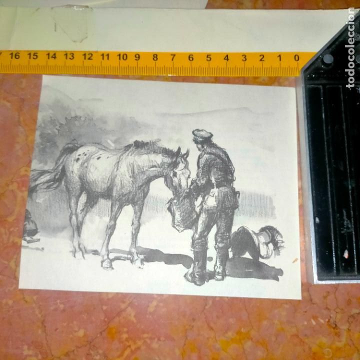 Coleccionismo: Antiguo recorte de publicaci&oacute;n de libro ilustraci&oacute;n dibujo coleccionistas de caballos equitacion