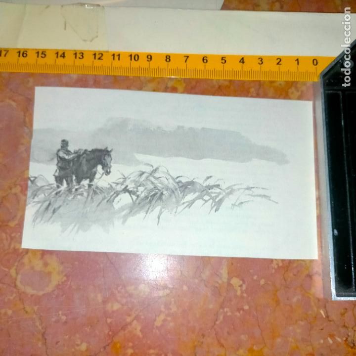 Coleccionismo: Antiguo recorte de publicaci&oacute;n de libro ilustraci&oacute;n dibujo coleccionistas de caballos equitacion