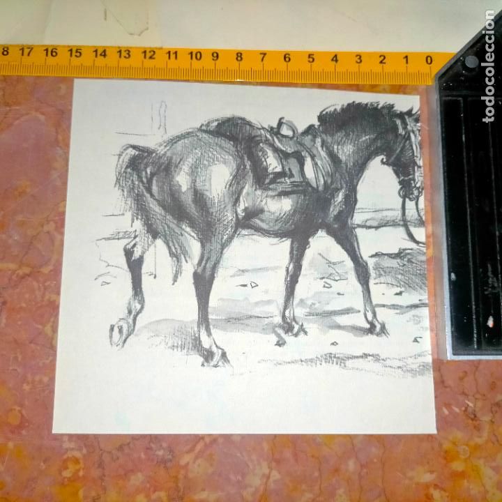 Coleccionismo: Antiguo recorte de publicaci&oacute;n de libro ilustraci&oacute;n dibujo coleccionistas de caballos equitacion