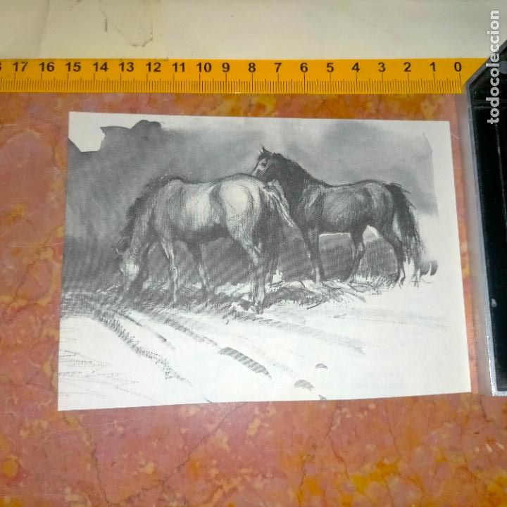Coleccionismo: Antiguo recorte de publicaci&oacute;n de libro ilustraci&oacute;n dibujo coleccionistas de caballos equitacion