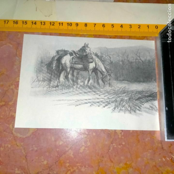 Coleccionismo: Antiguo recorte de publicaci&oacute;n de libro ilustraci&oacute;n dibujo coleccionistas de caballos equitacion