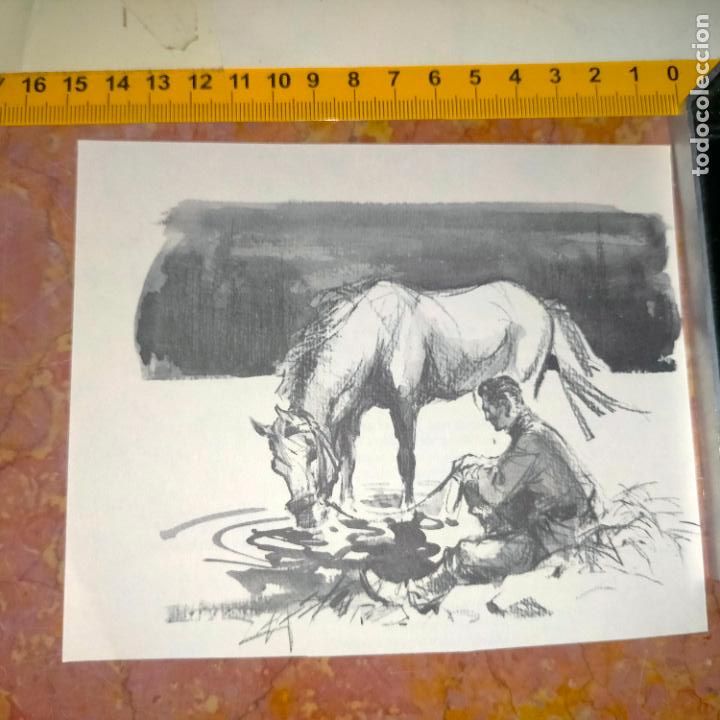 Coleccionismo: Antiguo recorte de publicaci&oacute;n de libro ilustraci&oacute;n dibujo coleccionistas de caballos equitacion