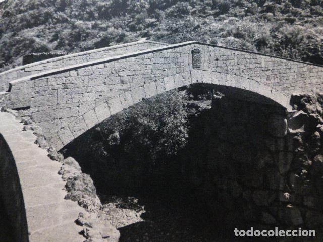 Coleccionismo: JARDIN CANARIO GRAN CANARIA ANTIGUA LAMINA HUECOGRABADO