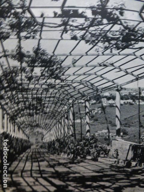 Collezionismo: TAFIRA UNA LATADA GRAN CANARIA ANTIGUA LAMINA HUECOGRABADO