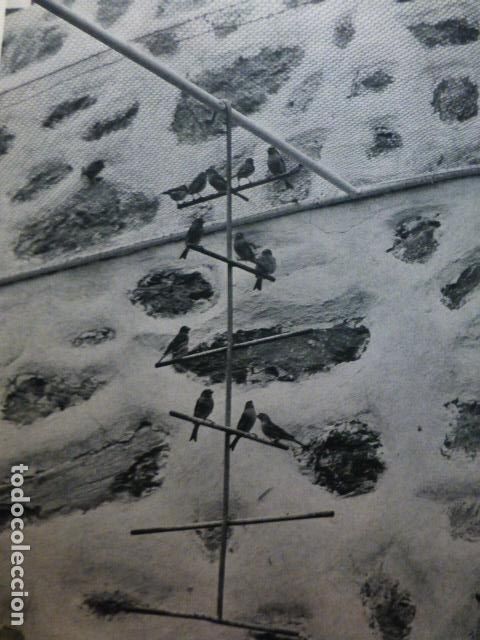 Collezionismo: BANDAMA GRAN CANARIA ANTIGUA LAMINA HUECOGRABADO