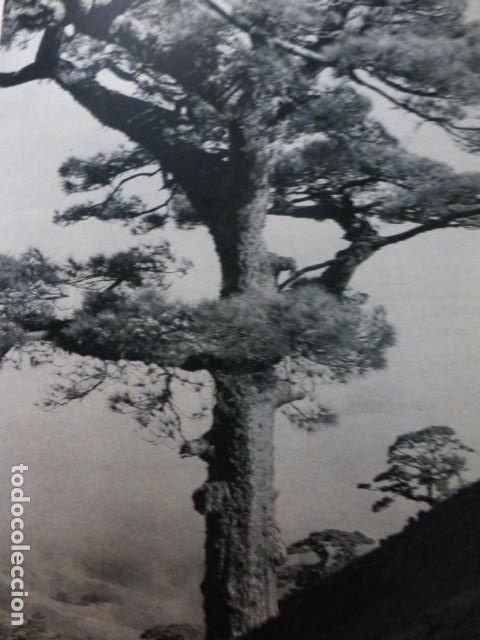 Collezionismo: GALDAR GRAN CANARIA ANTIGUA LAMINA HUECOGRABADO