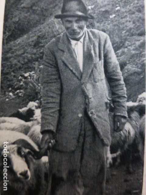 Colecionismo: PASTOR EN LA CUMBRE GRAN CANARIA ANTIGUA LAMINA HUECOGRABADO