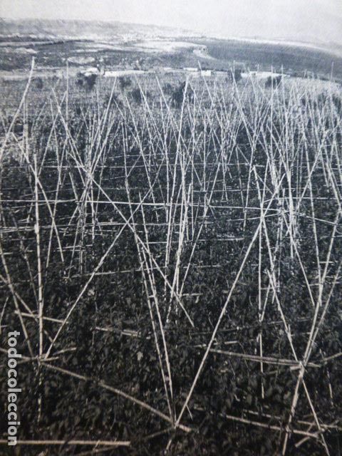 Collezionismo: TELDE GRAN CANARIA ANTIGUA LAMINA HUECOGRABADO