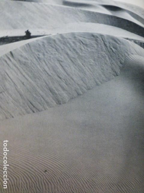 Collezionismo: MASPALOMAS GRAN CANARIA ANTIGUA LAMINA HUECOGRABADO