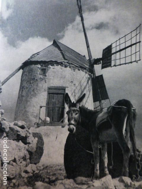 Collectionnisme: LA ANTIGUA MOLINO FUERTEVENTURA ANTIGUA LAMINA HUECOGRABADO