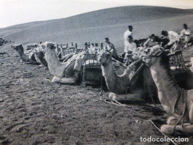 Collezionismo: TIMANFAYA LANZAROTE ANTIGUA LAMINA HUECOGRABADO