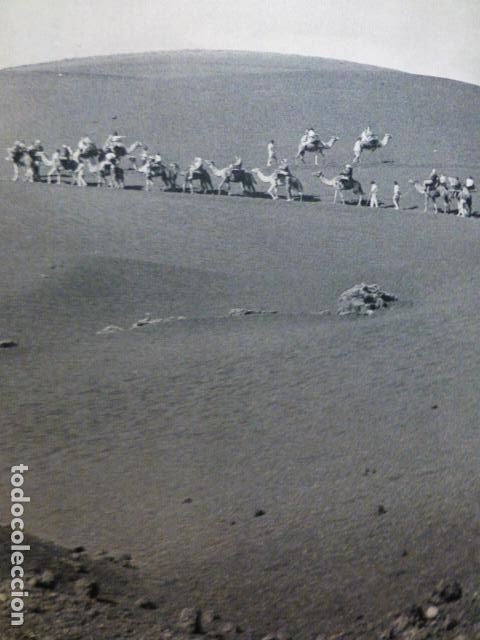 Collezionismo: TIMANFAYA LANZAROTE ANTIGUA LAMINA HUECOGRABADO