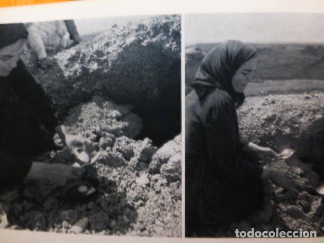 Collezionismo: ISLOTE DE HILARIO LANZAROTE ANTIGUA LAMINA HUECOGRABADO