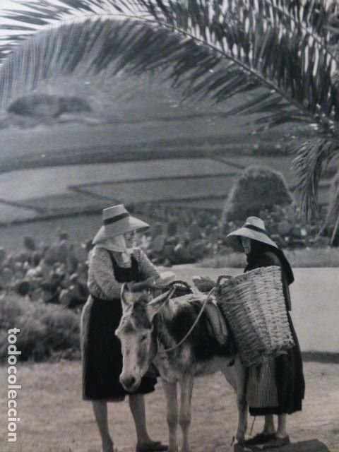 Collezionismo: MANCHA BLANCA LANZAROTE ANTIGUA LAMINA HUECOGRABADO