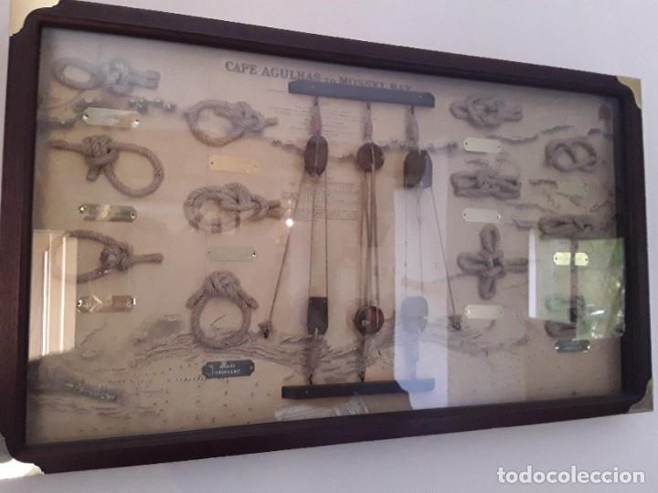 Coleccionismo: Cuadro nudos marineros cabo agujas - Foto 1