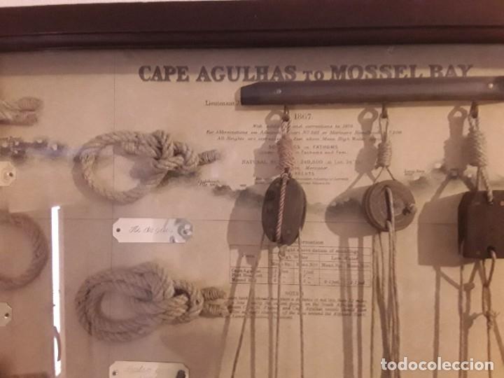 Coleccionismo: Cuadro nudos marineros cabo agujas - Foto 3
