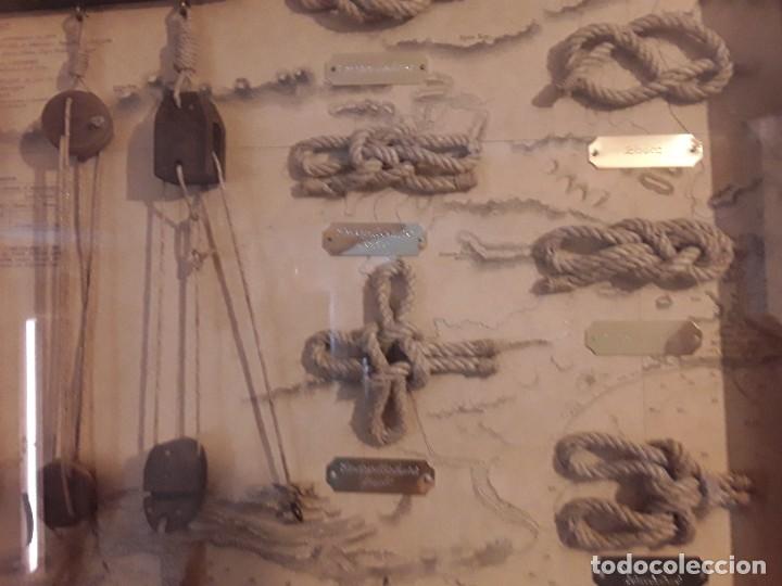 Coleccionismo: Cuadro nudos marineros cabo agujas - Foto 4
