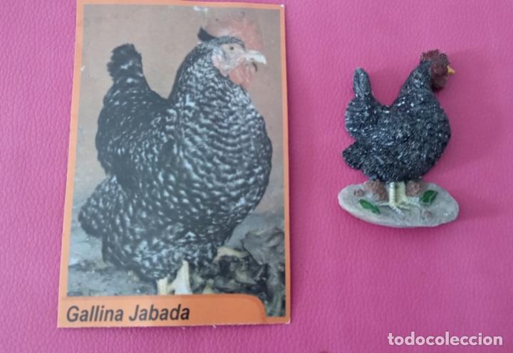 gallina jabada figura de la colección fauna can - Compra venta en ...