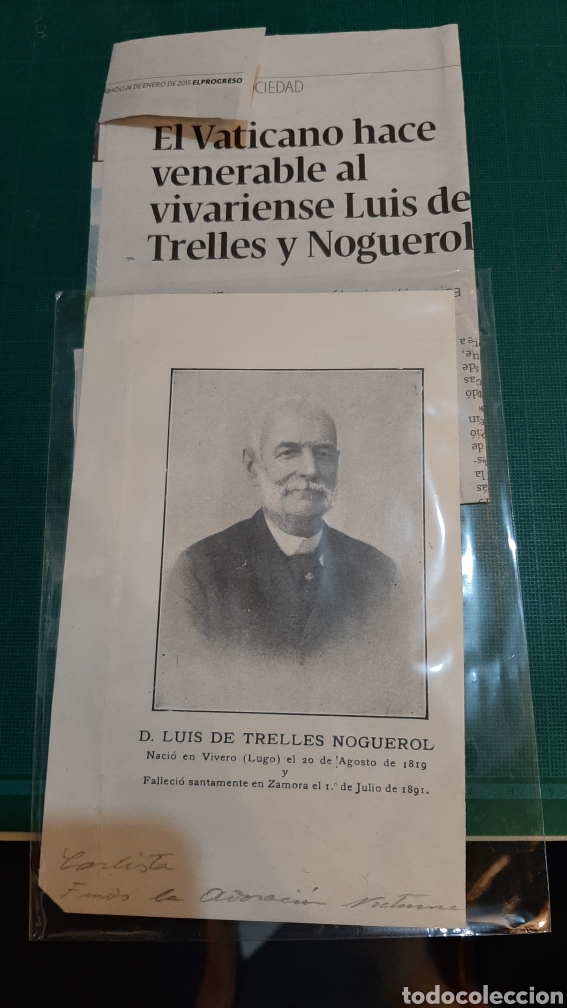 Collectionnisme: VIVERO LUGO D.LUIS TRELLES NOGUEROL LAMINA ARTICULO