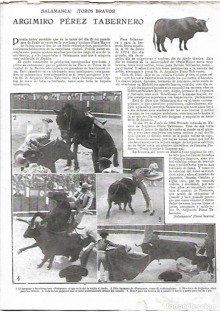 Collectionnisme: A&Ntilde;O 1924 RECORTE PRENSA SALAMANCA TOROS BRAVOS ARGIMIRO PEREZ TABERNERO TORO PINTURERO
