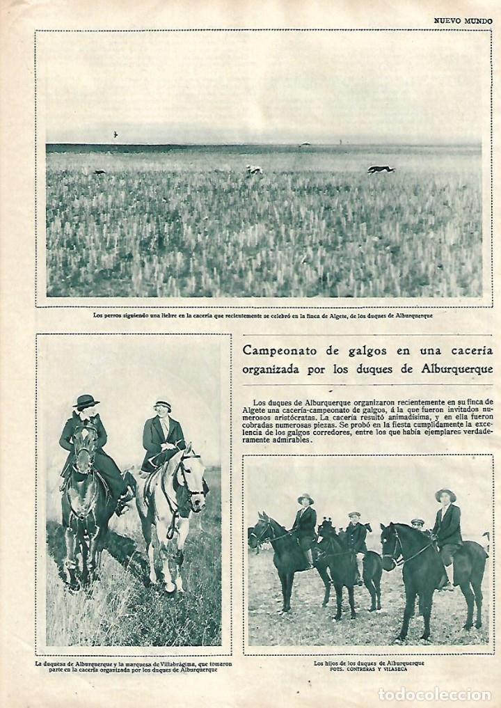 Collecting paper: A&Ntilde;O 1929 RECORTE PRENSA CAMPEONATO DE GALGOS CACERIA DUQUES ALBURQUERQUE FINCA DE ALGETE
