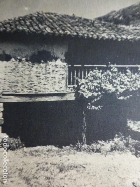 Collezionismo: CARANGAS ASTURIAS ANTIGUO HUECOGRABADO