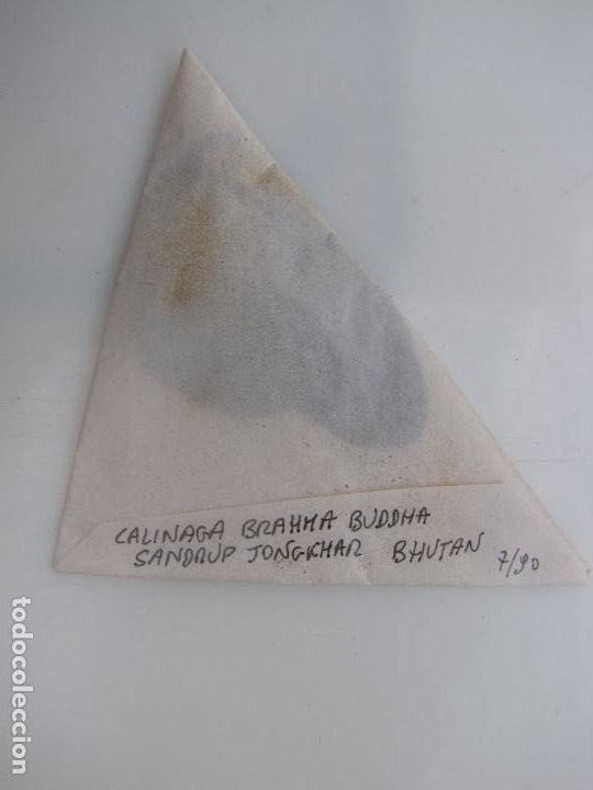 Coleccionismo: 26.- Mariposa Calinaga Brahma Buddha. Butan