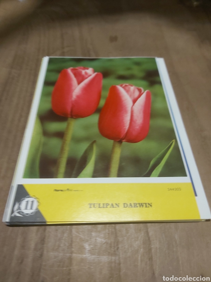 Collectionnisme: LAMINAS FLORES SEMILLAS LOTE VINTAGE