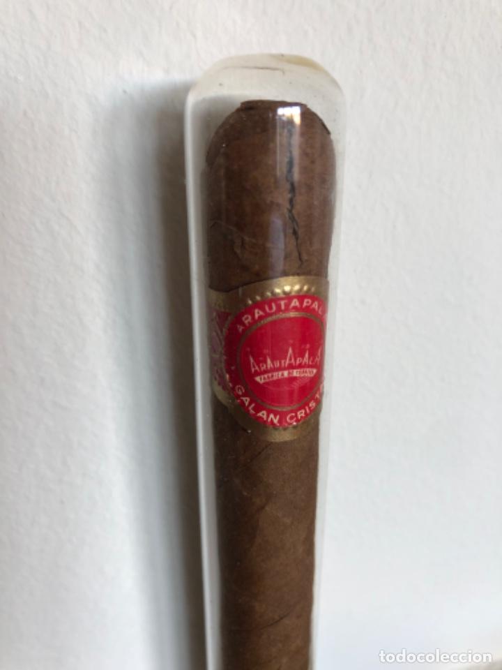 Coleccionismo: PURO HABANO APAUTAPALA - Foto 2