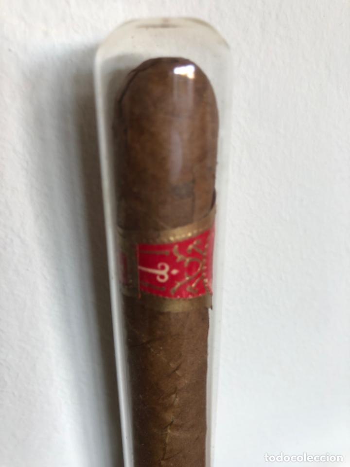 Coleccionismo: PURO HABANO APAUTAPALA - Foto 3