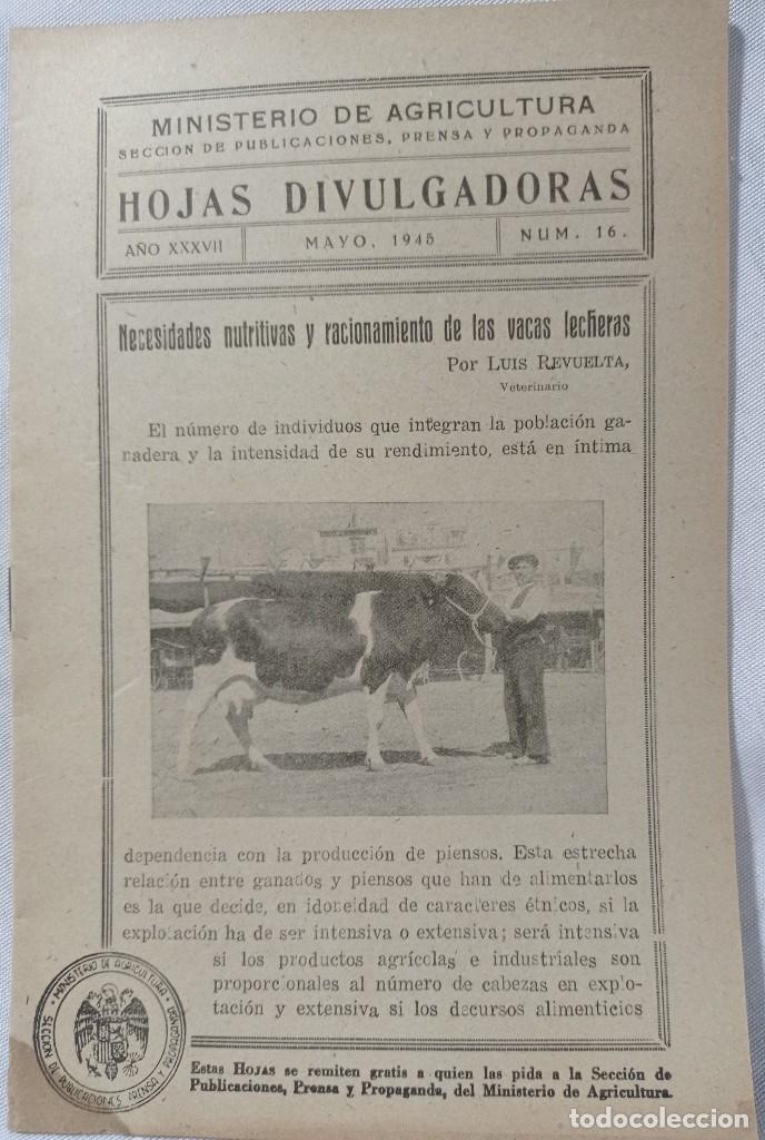 Collezionismo: HOJAS DIVULGADORAS MAYO 1945. N&ordm; 16.