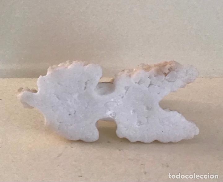 Coleccionismo: COLECCI&Oacute;N DE FIGURAS DE PERRO - Foto 33