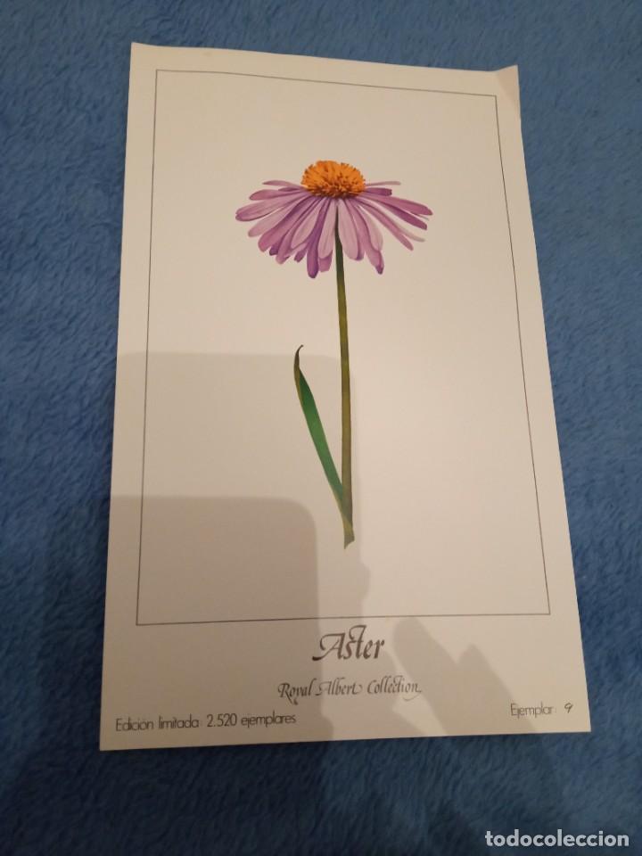 Coleccionismo: L&aacute;mina Royal Albert Collection n&ordm; 9 Aster - Foto 1