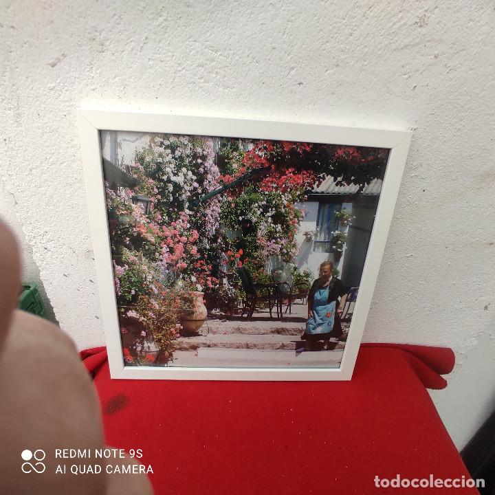Coleccionismo: cuadro con lamina - Foto 1