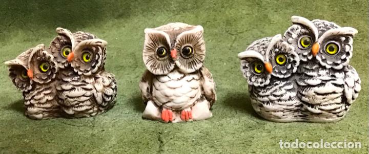Coleccionismo: COLECCI&Oacute;N DE B&Uacute;HOS - Foto 12