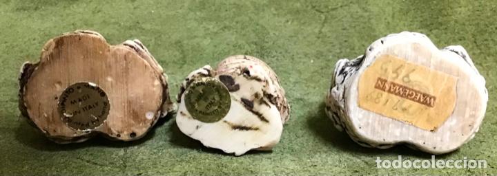 Coleccionismo: COLECCI&Oacute;N DE B&Uacute;HOS - Foto 14