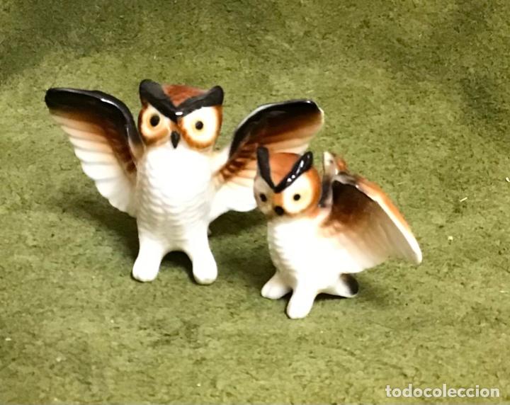 Coleccionismo: COLECCI&Oacute;N DE B&Uacute;HOS - Foto 24