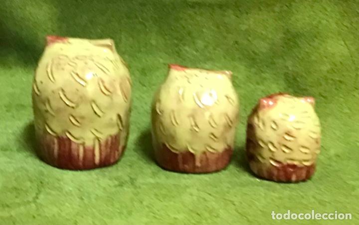 Coleccionismo: COLECCI&Oacute;N DE B&Uacute;HOS - Foto 28